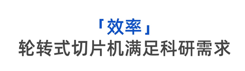 Nature Communications通讯作者郑建树:专注解析结瘤固氮的分子机制,对待科研更要知其所以然!
