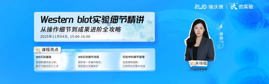 Western Blot实验1.jpg