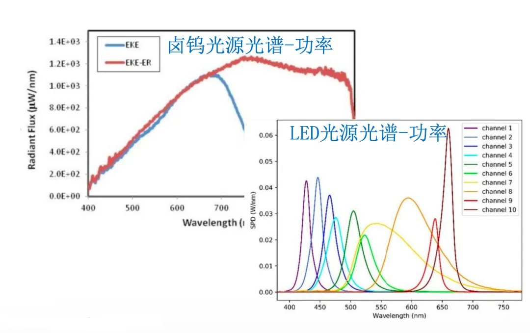 小动物活体成像