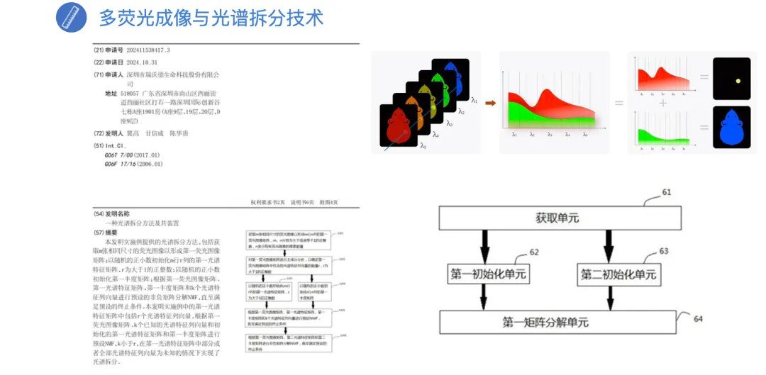 小动物活体成像