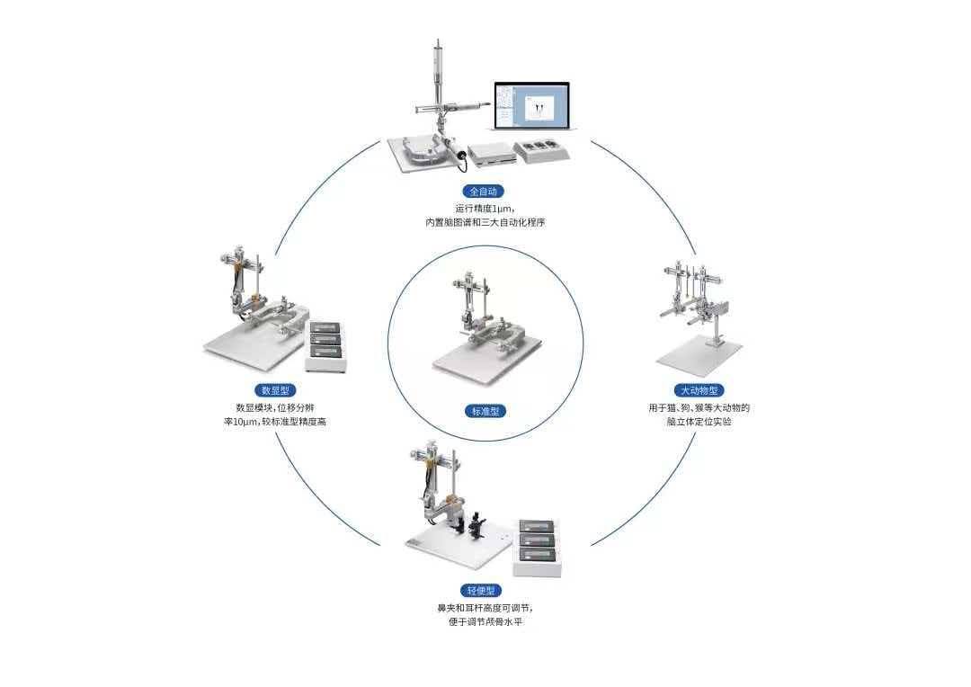瑞沃德脑立体定位仪