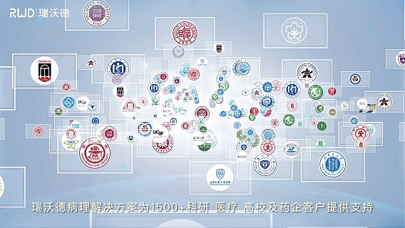 瑞沃德minux fs900冷冻切片机