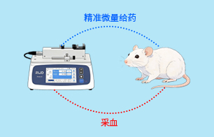 动物实验