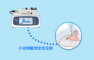 神经科学