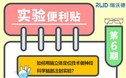 如何用脑立体定位技术做神经科学脑部注射实验？