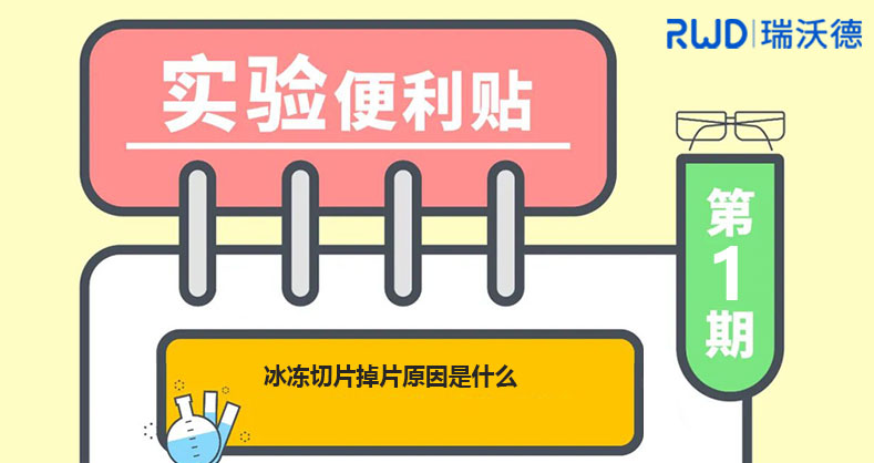 光遗传系统刺激参数的频率、脉宽如何选择？