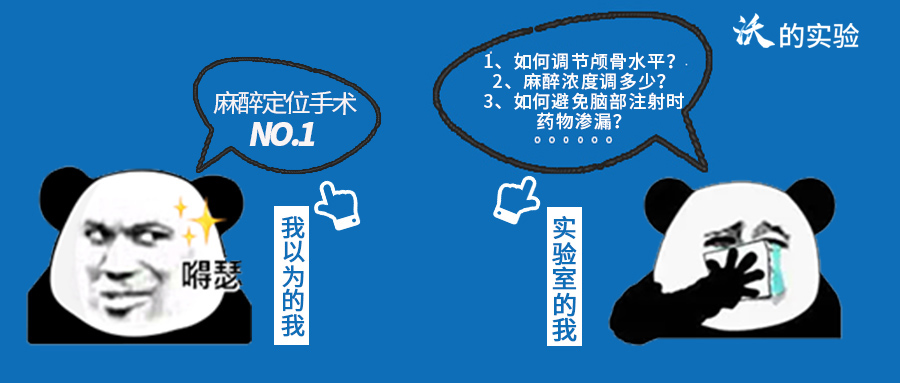 开始测试吧