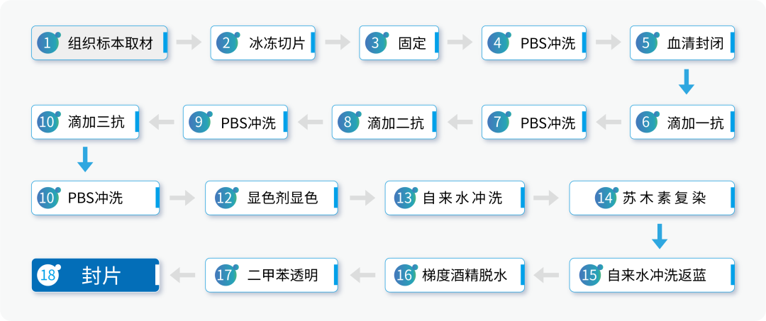 如何在免疫组化冰切中减少冰晶的形成？