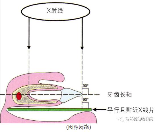 水平拍摄法