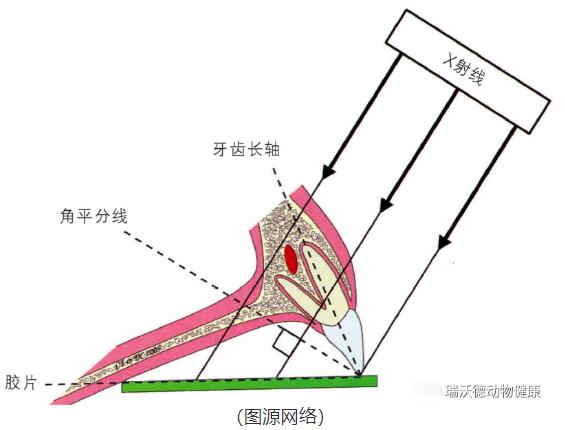 角平分线拍摄法