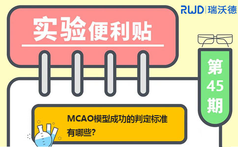 MCAO模型成功的判定标准有哪些？