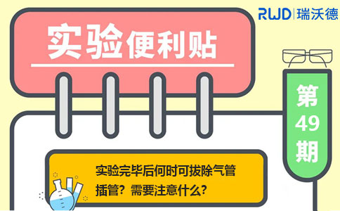 实验完毕后何时可拔除气管插管？需要注意什么？