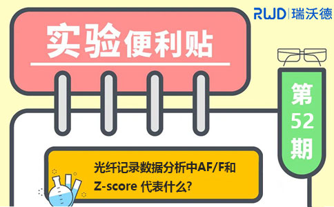 光纤记录数据分析中ΔF/F和Z-score代表什么？