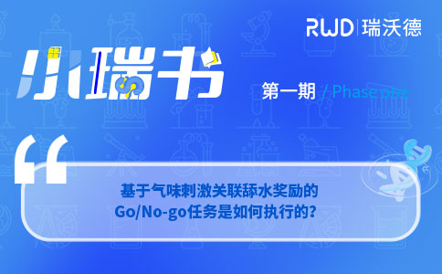 基于气味刺激关联舔水奖励的Go/No-go任务如何执行？