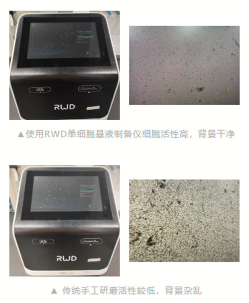 单细胞测序前样本处理