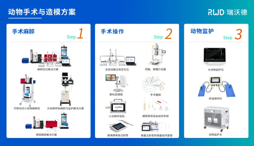 山东中医药大学魏盛团队揭示中药舒郁胶囊改善经前烦躁症躯体及情绪症状的神经机制