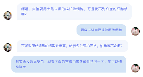 原代细胞提不出、养不活？零基础搞定原代细胞提取与培养