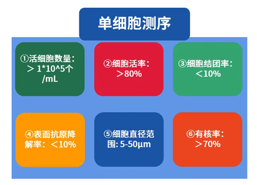 冷冻切片前处理操作以及注意事项有哪些？