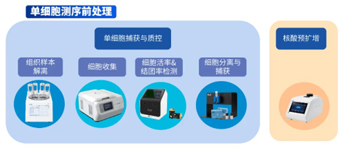 冷冻切片前处理操作以及注意事项有哪些？