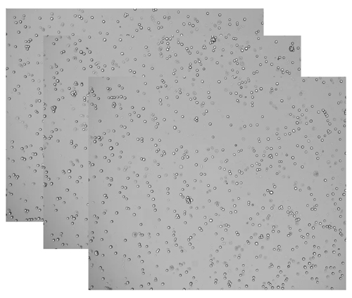 细胞计数仪如何挑选