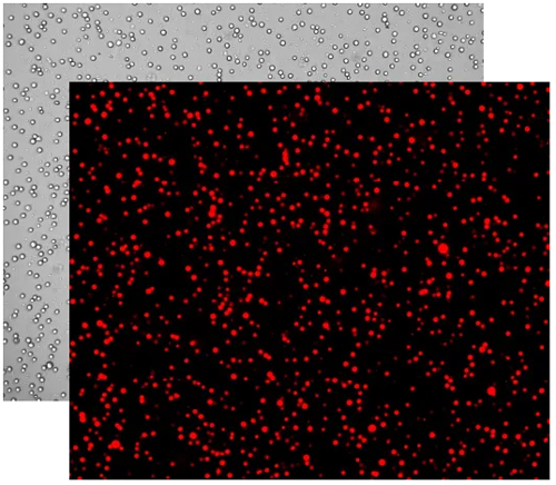 细胞计数仪如何挑选
