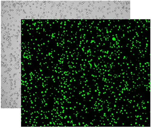 细胞计数仪如何挑选