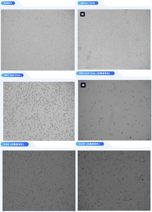 细胞计数仪如何挑选