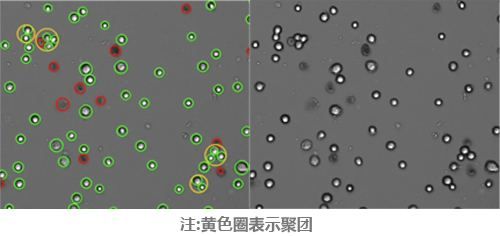 细胞计数仪如何挑选