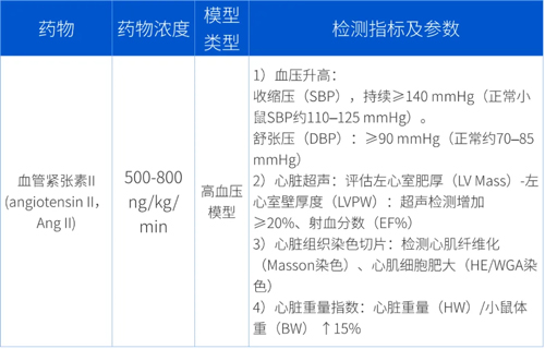 Ang Ⅱ诱导C57BL/6小鼠高血压造模全流程