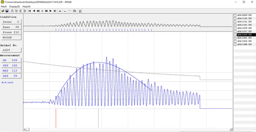 Ang Ⅱ诱导C57BL/6小鼠高血压造模全流程