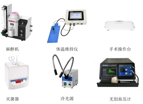 Ang Ⅱ诱导C57BL/6小鼠高血压造模全流程