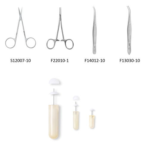 Ang Ⅱ诱导C57BL/6小鼠高血压造模全流程