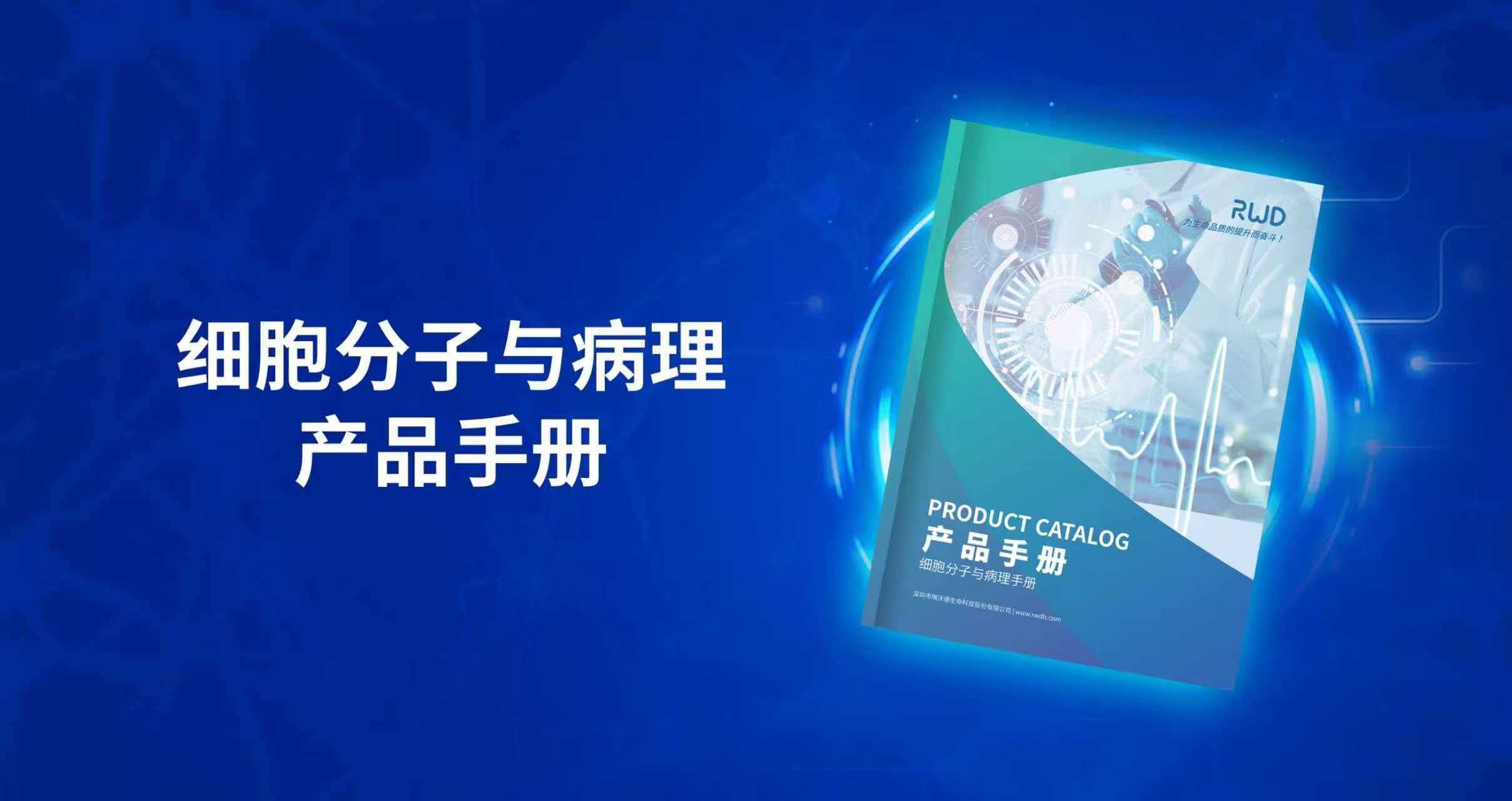 瑞沃德—细胞分子与病理手册